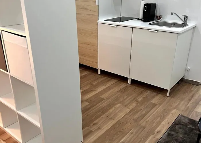 Apartment In 9 Vienna